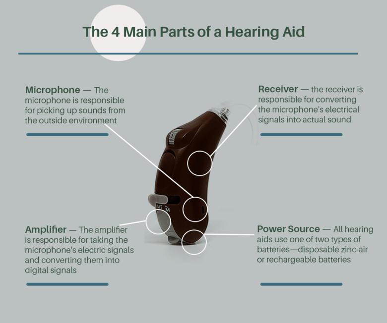 Hearing Aids 101 Parts, Functions, and Types of Hearing Aids